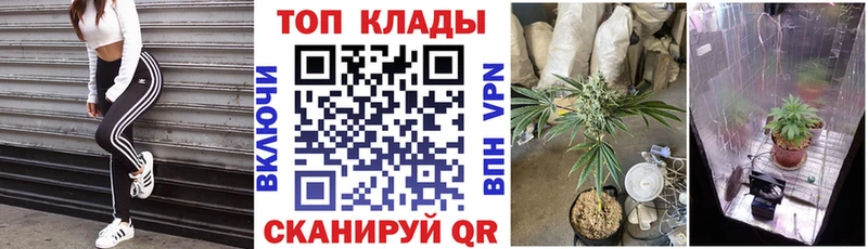 Купить наркотики цена Бирюсинск Псилоцибиновые грибы  Cocaine  Меф мяу мяу  АМФ  МАРИХУАНА  Гашиш 
