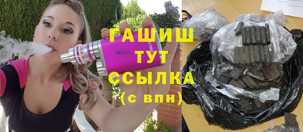 spice Сясьстрой