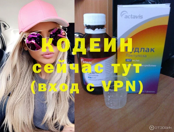 spice Сясьстрой
