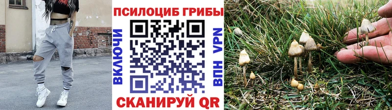 Галлюциногенные грибы MAGIC MUSHROOMS  Бирюсинск 